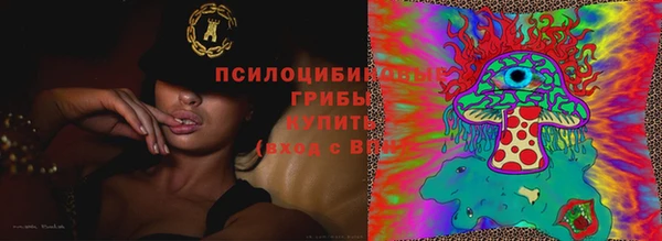 герыч Верхний Тагил